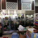 中古フラワーキーパーあげます！要条件ありの画像