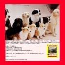 中野、飯山、信濃町エリアの画像