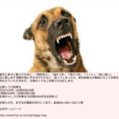 中野、飯山、信濃町エリアの画像