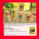 中野、飯山、信濃町エリアの画像