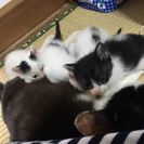 少し成長しました!!