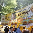 6/18（土）＆19（日）代々木公園で友達作り - メンバー募集