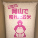 お米　10kg×2
