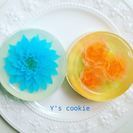 和泉市初 フラワーゼリーが習えます