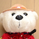【今だけ割引中】クマのぬいぐるみの画像
