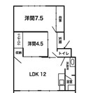 値下げしました！仲介手数料、敷礼不要 南向き３階 明るく広い2L...