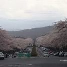 ﾂｰﾘﾝｸﾞ仲間募集♪