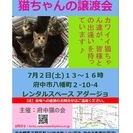 府中猫の会、スリゴロ添い寝しまくり、コジローくん！ - 里親募集