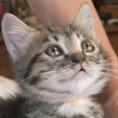 ぐいぐい寄ってくる、おおらか岡くん。