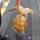 釣り仲間が欲しい