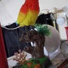 何でも屋さん