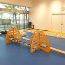 学校で習う運動＋αの感覚作りの画像