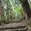 熊野古道制覇し隊