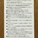 ナガシマスパーランド パスポートチケットの画像