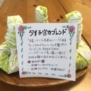 ハーブヨガセラピー教室♡の画像