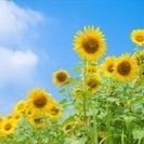 ワイワイできる友達募集