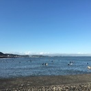 仲良くして下さい(^o^)