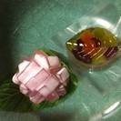 初心者向けの表千家茶道教室です😊の画像