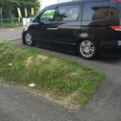 ホンダエリシオンRR1二駆ですの画像