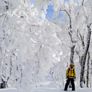 ★★姫路近郊の登山仲間を募集します☆彡 - その他