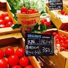 【八王子】CELEO内♪ 温かみのあるオーガニック専門店「ナチュラルハウス」🍎 週3日～シフト応相談◇未経験OK！年齢/性別不問！時給1050円～1450円＋通勤代の画像