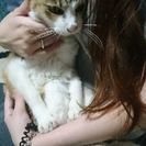 野良ちゃんを保護しました