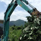 剪定作業による、掃除などの仕事ですの画像