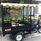 三輪トライク（普通自動車免許・ノーヘル対応）の画像