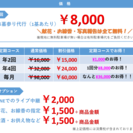 お墓参り代行　献花・お線香・写真報告全て無料！！オプションでLINEを使ったライブ中継も可！ - 新座市