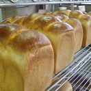 ベーカリーカフェ作ります。の画像