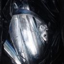 釣り仲間募集してます！ - 友達