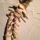 骨の模型の画像