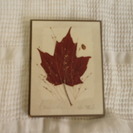 海外土産　3種の画像