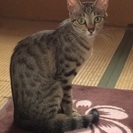 無事譲渡できました〜！ - 盛岡市