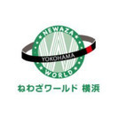 『ブラジリアン柔術　ねわざワールド横浜』 格闘技未経験者・社会人・40 代の方が大半の為、緩やか雰囲気の中で練習しております。の画像