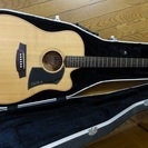 Cole Clark コールクラーク FL1AC スプルース・トップの画像