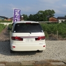 洗車を手伝ってください♪