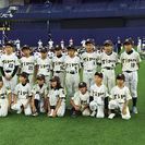 川西市 池田市 宝塚市 伊丹市 少年野球 選手募集中（小学生）兵...
