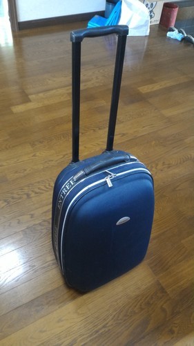 キャリーバッグ　譲ります