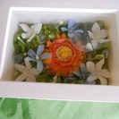 花のパワーと曼荼羅の融合の魔法のメソッドで子どものような自由な心...