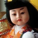 昭和 レトロ! 日本人形　③　初陣