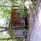 建物周囲の立ち木の伐採をお願いします。