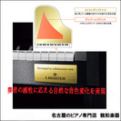 世界3大ピアノ　ベヒシュタインとのコラボモデル　CASIO電子ピアノ GP-310BK　の画像