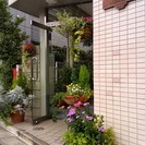 久米川駅徒歩3分！　「トリプル0」の1K賃貸マンション