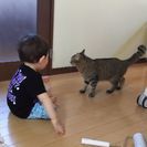 アラフォーママです(^o^)