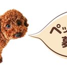 【東京】在宅ワーク｜自宅で大好きなペットお預かりしませんか？の画像