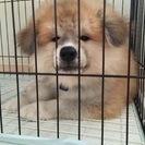 決まりました。