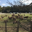 サイクリング仲間募集