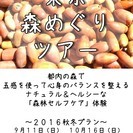 東京森めぐりツアーvol.5（明治神宮）