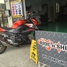 RIDE'n SHELTER  (ライドインシェルター)皆様の愛...